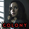 Sarah Wayne Callies