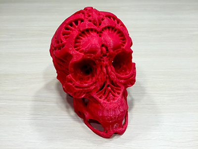 Hunters skull